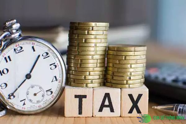 Thuế là gì? Các khoản thuế cần nộp sau khi thành lập công ty